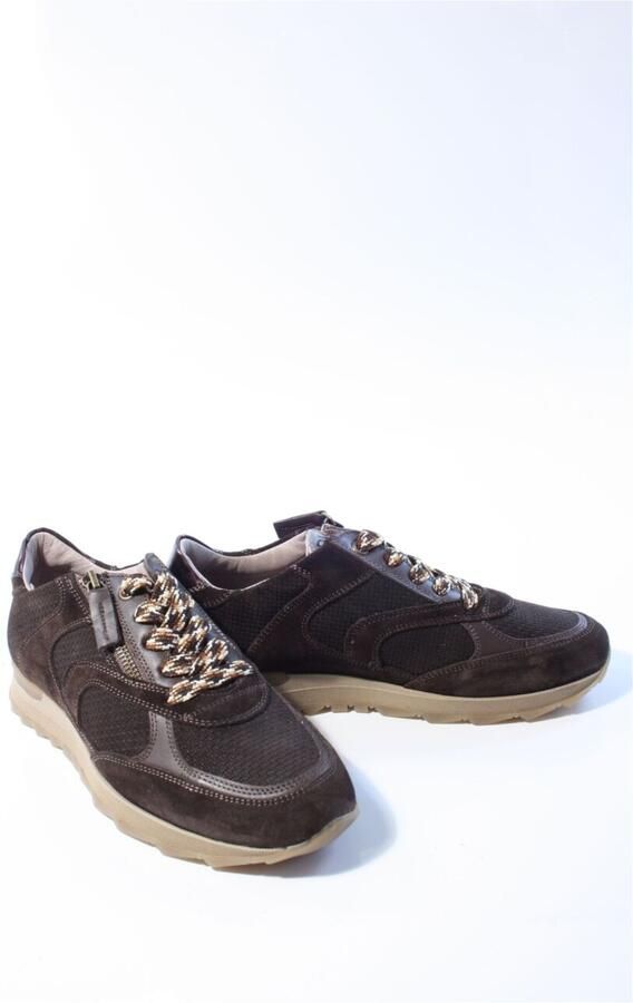 Dl sport Dames sneakers bruin