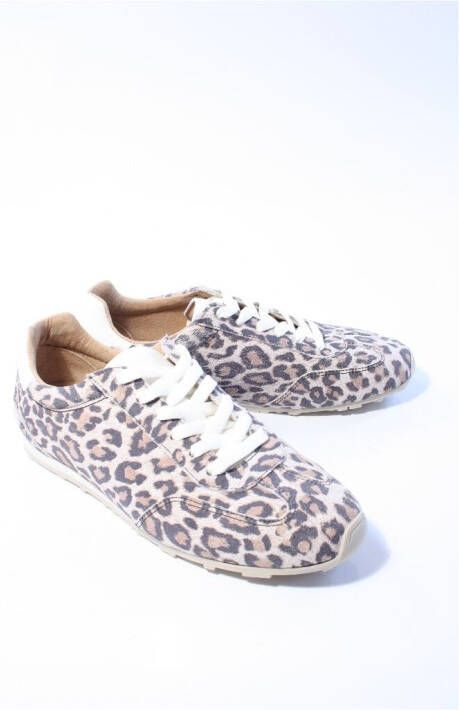 Dwrs label Dames sneakers bruin