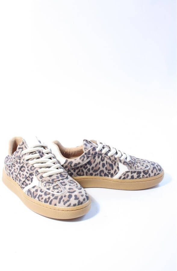Dwrs label Dames sneakers bruin