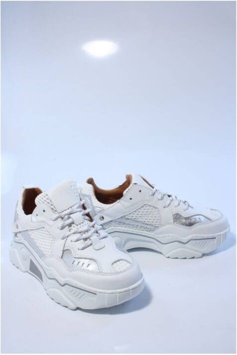 DWRS label Pluto J5217-57 white lila paars - Foto 2