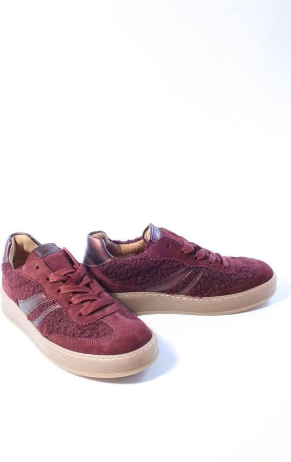 Gabor Sneaker 6018.01.008 Mulberry Teddy Wijdte G - Foto 2