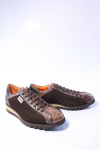 Harris sneakers bruin