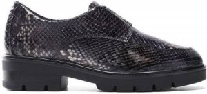 24 Hrs Pumps 24752 Gris Oscuro