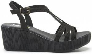 24 Hrs Pumps 24923 Negro