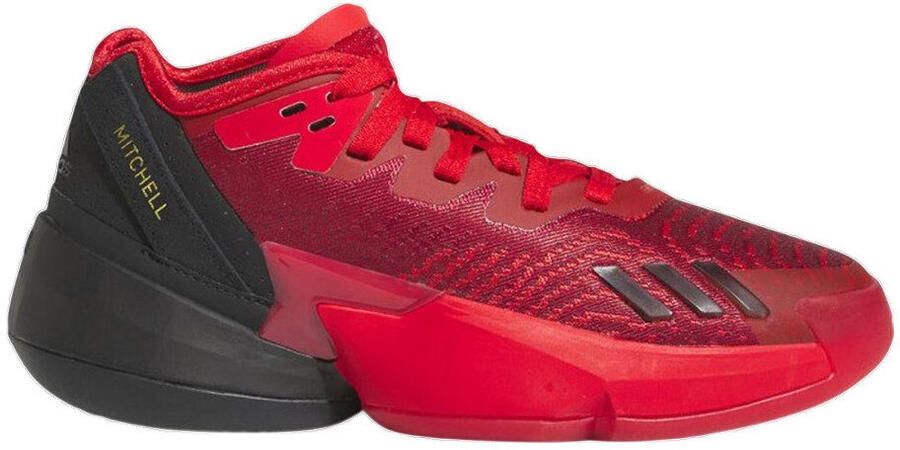 Adidas Basketbalschoenen Baskets D.O.N Issue 4 léger