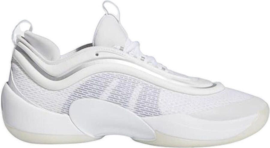 Adidas Basketbalschoenen Baskets D.O.N. Issue 6 léger