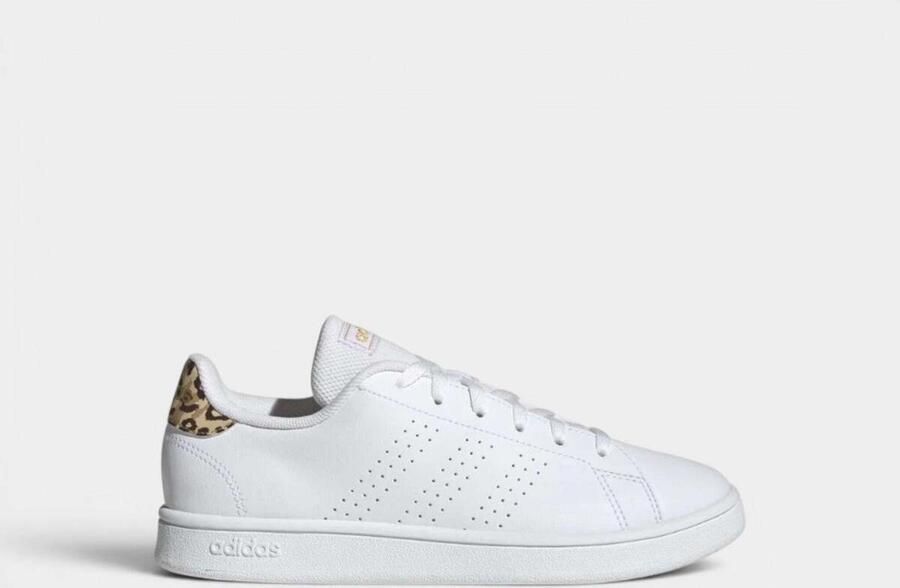 Adidas Lage Sneakers ADVANTAGE BASE