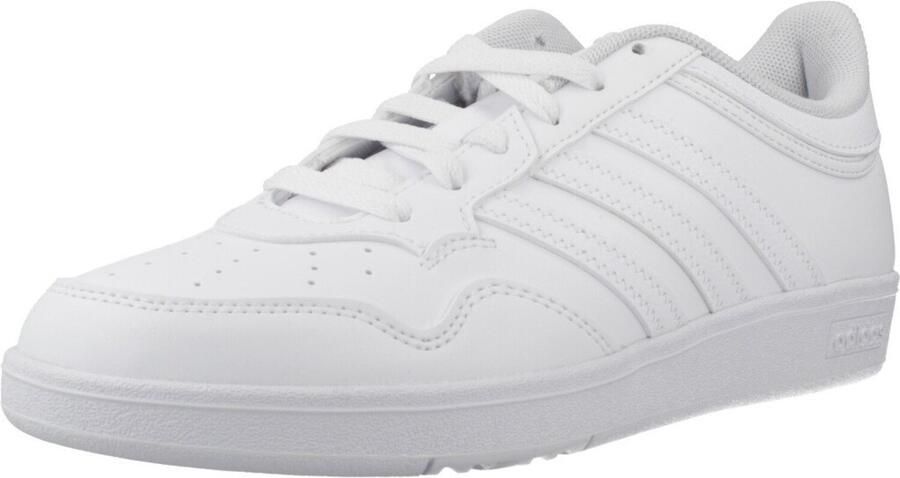 Adidas Hoops 4.0 Schoenen Wit 2 3 Vrouw - Foto 4