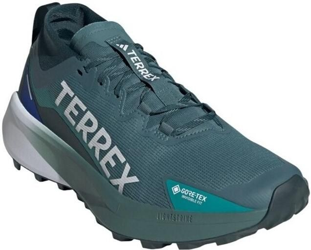 Adidas Terrex Agravic GTX Trail Trailrunningschoenen 2 3 grijs - Foto 2