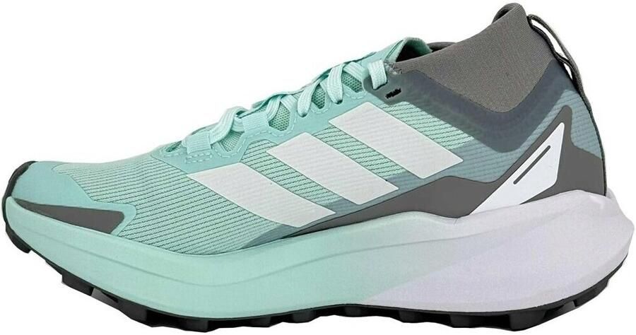 Adidas Terrex Agravic GTX Trail Running Schoenen