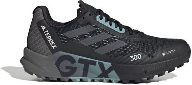 Adidas Hardloopschoenen Terrex Agravic Flow 2.0 Gtx