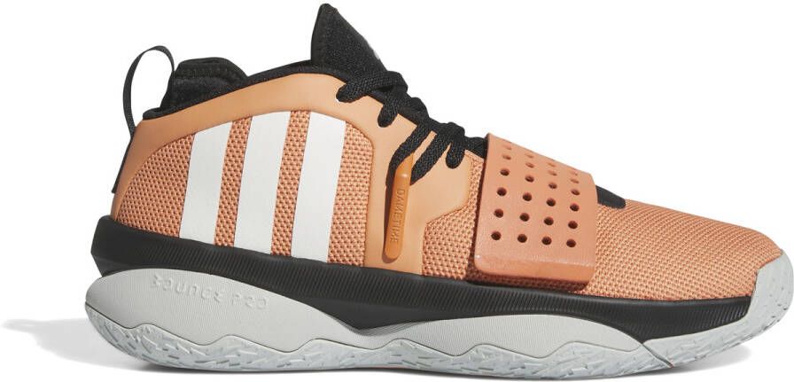 Adidas Hoge Sneakers Chaussures indoor 8 Extply