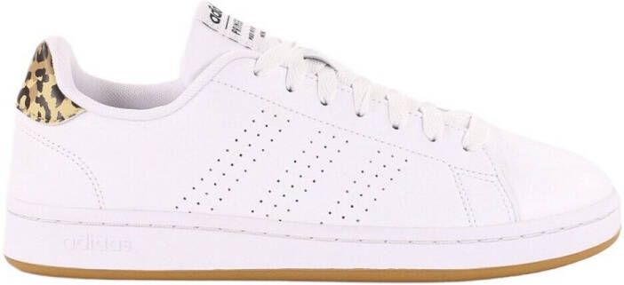 Adidas Lage Sneakers Advantage