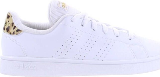 Adidas Sportswear Advantage Base Schoenen