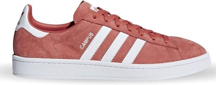 Adidas Lage Sneakers Campus