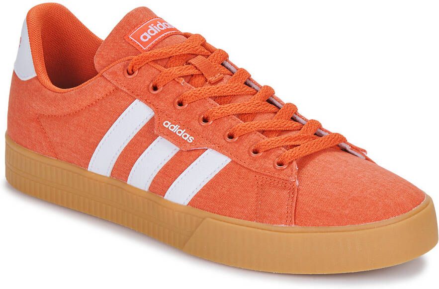 Adidas Lage Sneakers DAILY 3.0