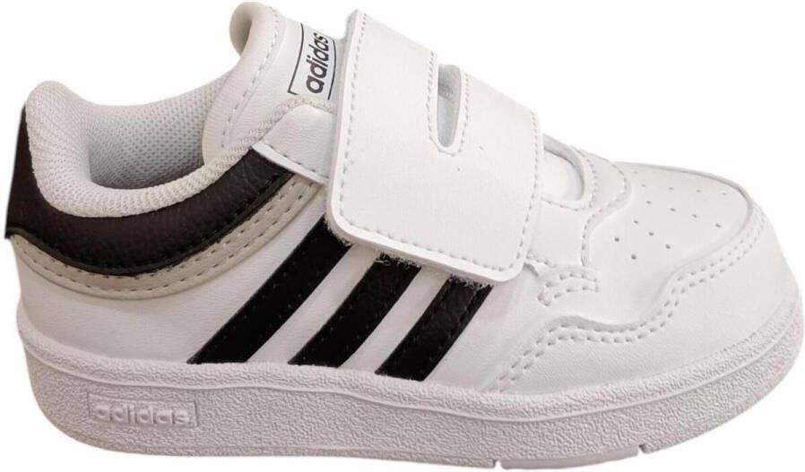 Adidas Lage Sneakers hoops