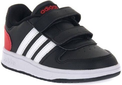 Adidas Lage Sneakers Hoops 2 Cmf C