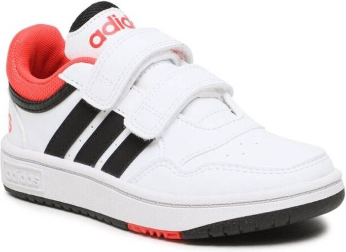 Adidas Lage Sneakers Hoops Lifestyle