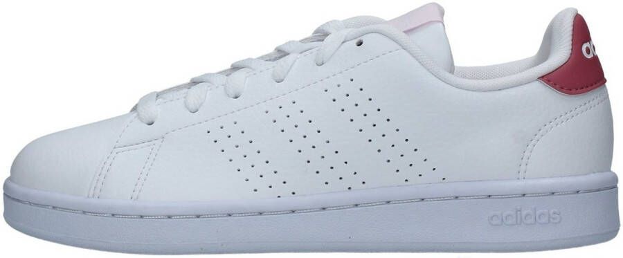 Adidas Lage Sneakers HR0322