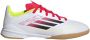Adidas Perfor ce F50 League Indoor Voetbalschoenen Kids Kinderen Wit - Thumbnail 2