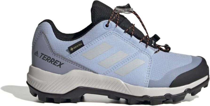 Adidas Terrex Kid's Terrex GTX Multisportschoenen grijs