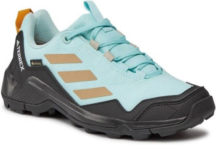 Adidas Terrex Women's Terrex Eastrail GTX Multisportschoenen zwart