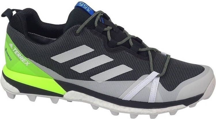 Adidas Wandelschoenen Terrex Skychaser LT Gtx