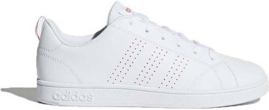 Veiligheidsschoenen adidas top