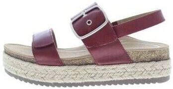 Aetrex Sandalen Vania Platform