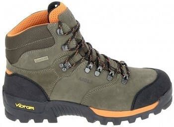 Aigle Wandelschoenen Altavio Sepia