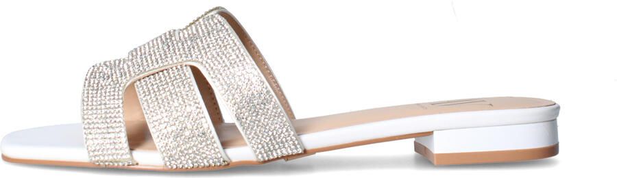 Albano Platte sandalen AV7028
