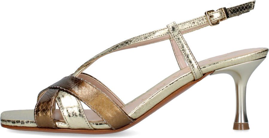 Albano Sandalen met hakken 5539