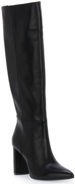 Albano Laarzen L' AMOUR NERO VITELLO