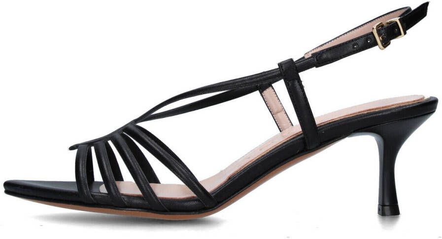 Albano Pumps 5344