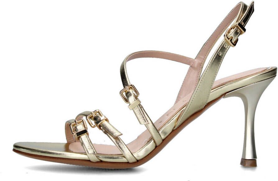 Albano Pumps 5374