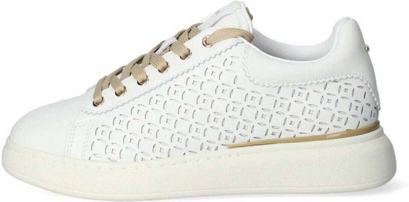 Alberto Guardiani Sneakers