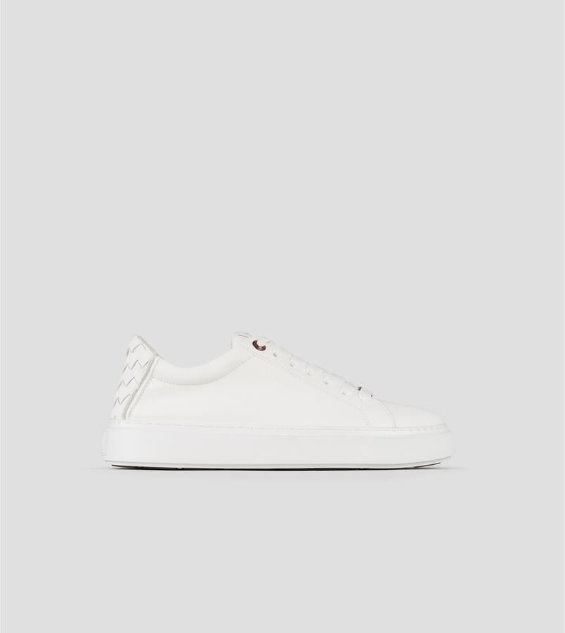 Alexander Smith Lage Sneakers ALBDLDM9108TWT