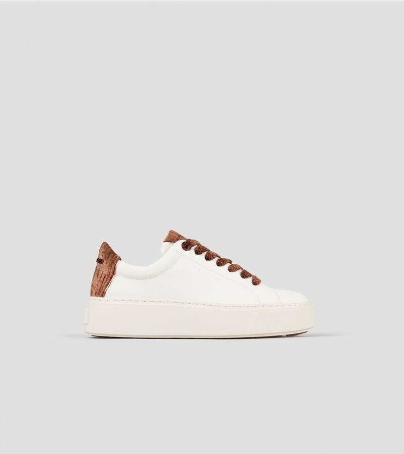 Alexander Smith Sneakers ALBELHW8415FCN
