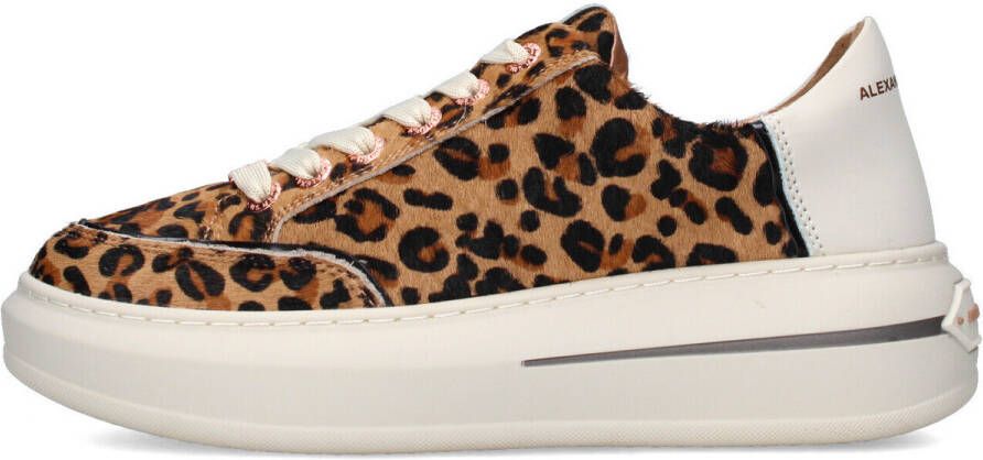 Alexander Smith Lage Sneakers LANCASTER ASBCLSW 1856-CSF SAND OFF WHITE - Foto 2