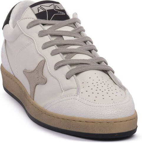 Ama Brand Sneakers SUN