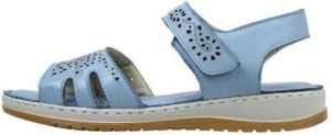 Amanda Sandalen DALIS