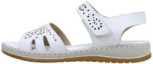 Amanda Sandalen DALIS