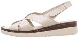 Amanda Sandalen TELENDOS