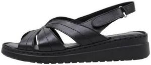 Amanda Sandalen TELENDOS
