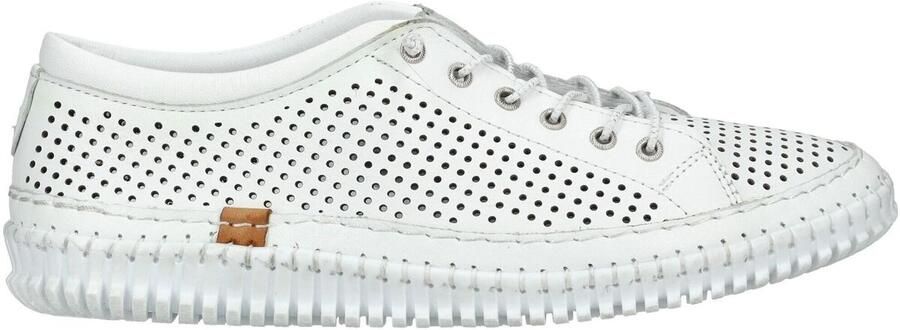 Andrea Conti Lage Sneakers Halfhoge schoenen