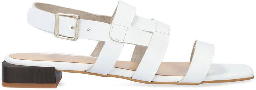 Andypola Platte sandalen MIA