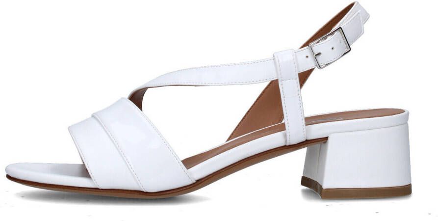 Anita Sandalen met hakken L304
