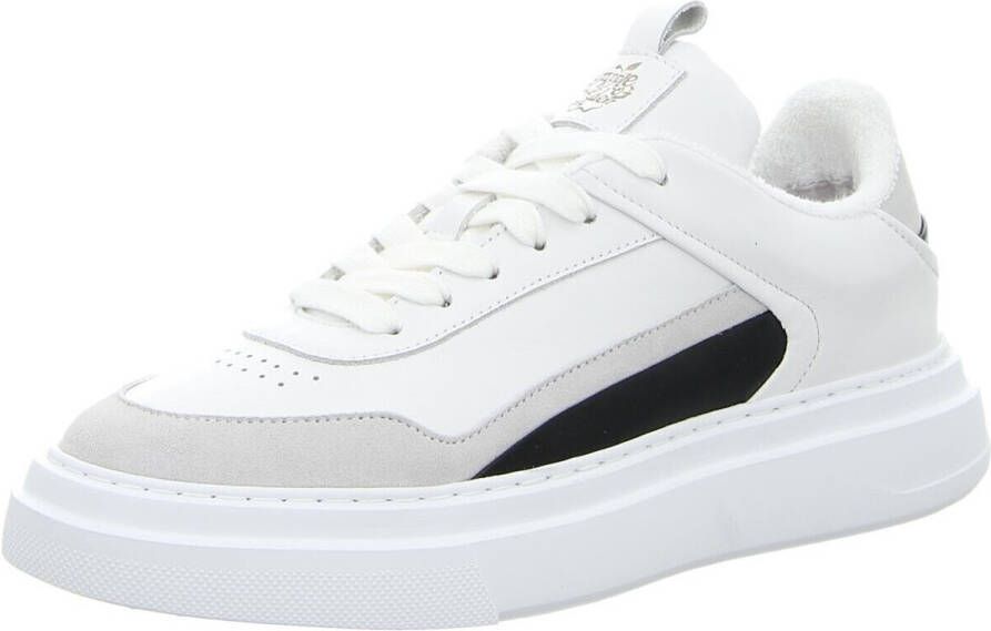 Apple of Eden Sneakers