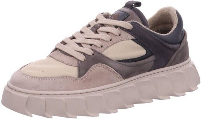 Apple of Eden Sneakers laag 'AW24-LIMA 28'